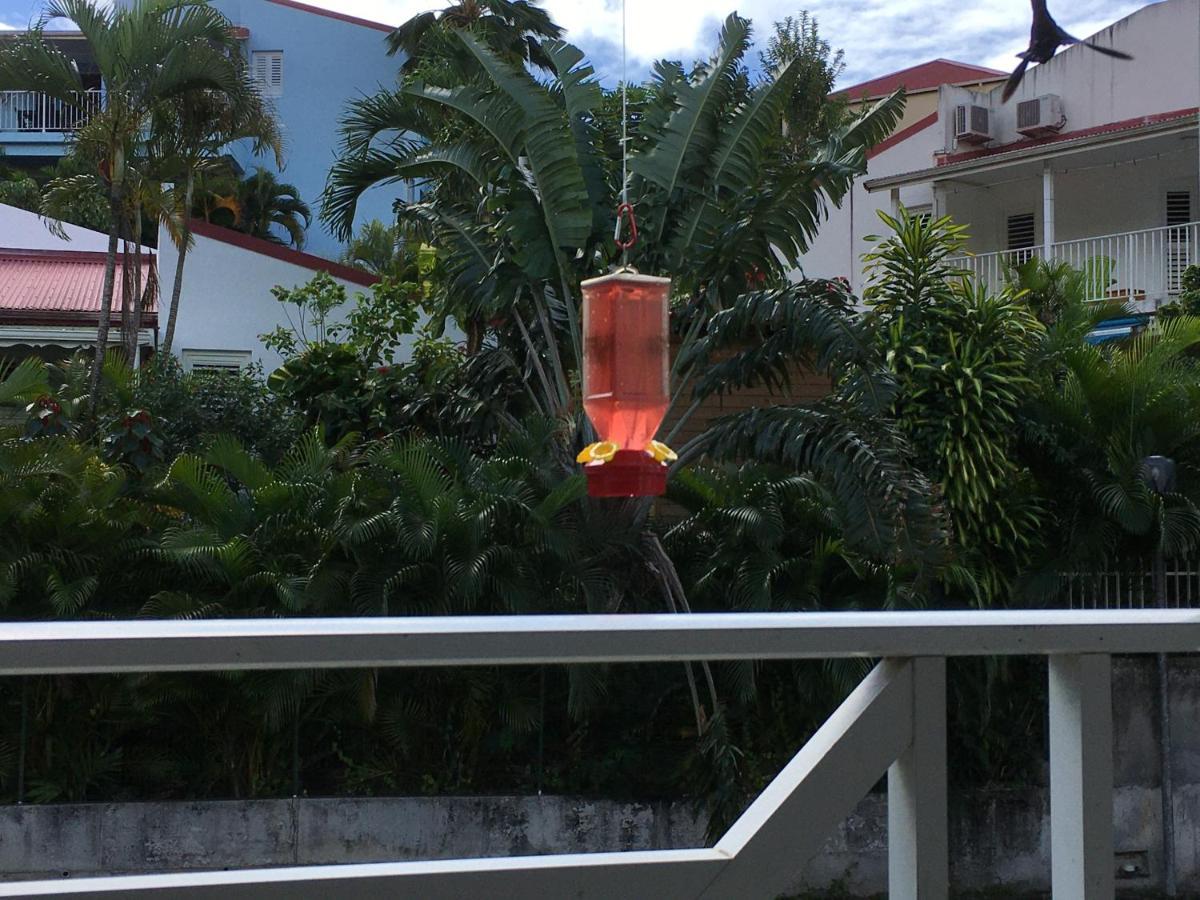 Ferienwohnung Le Colibri Les Anses-d'Arlets Exterior foto